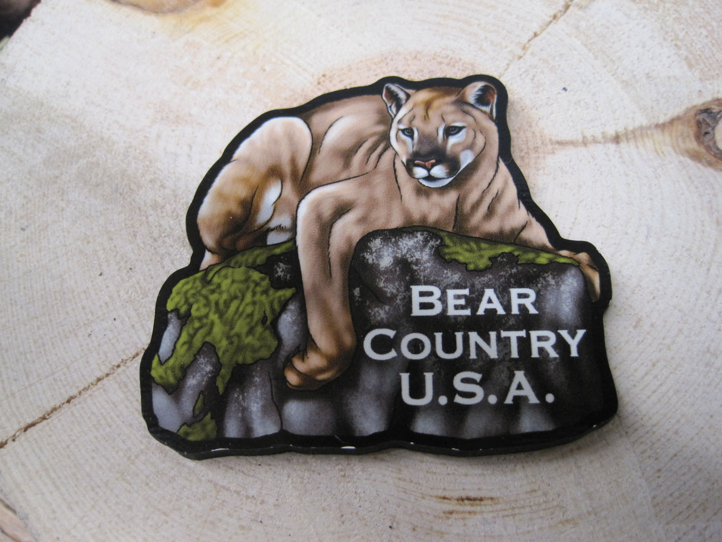 Magnet-Mt Lion on Rock/BCUSA