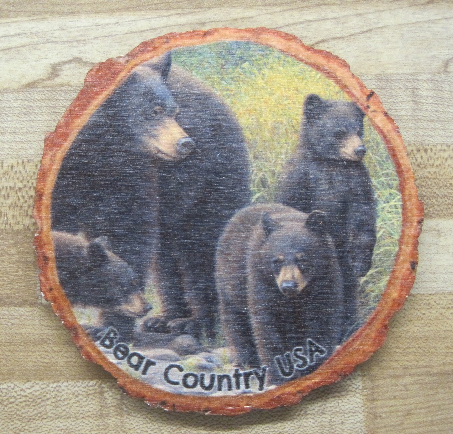 Coaster-Family Outing, Four Black Bears