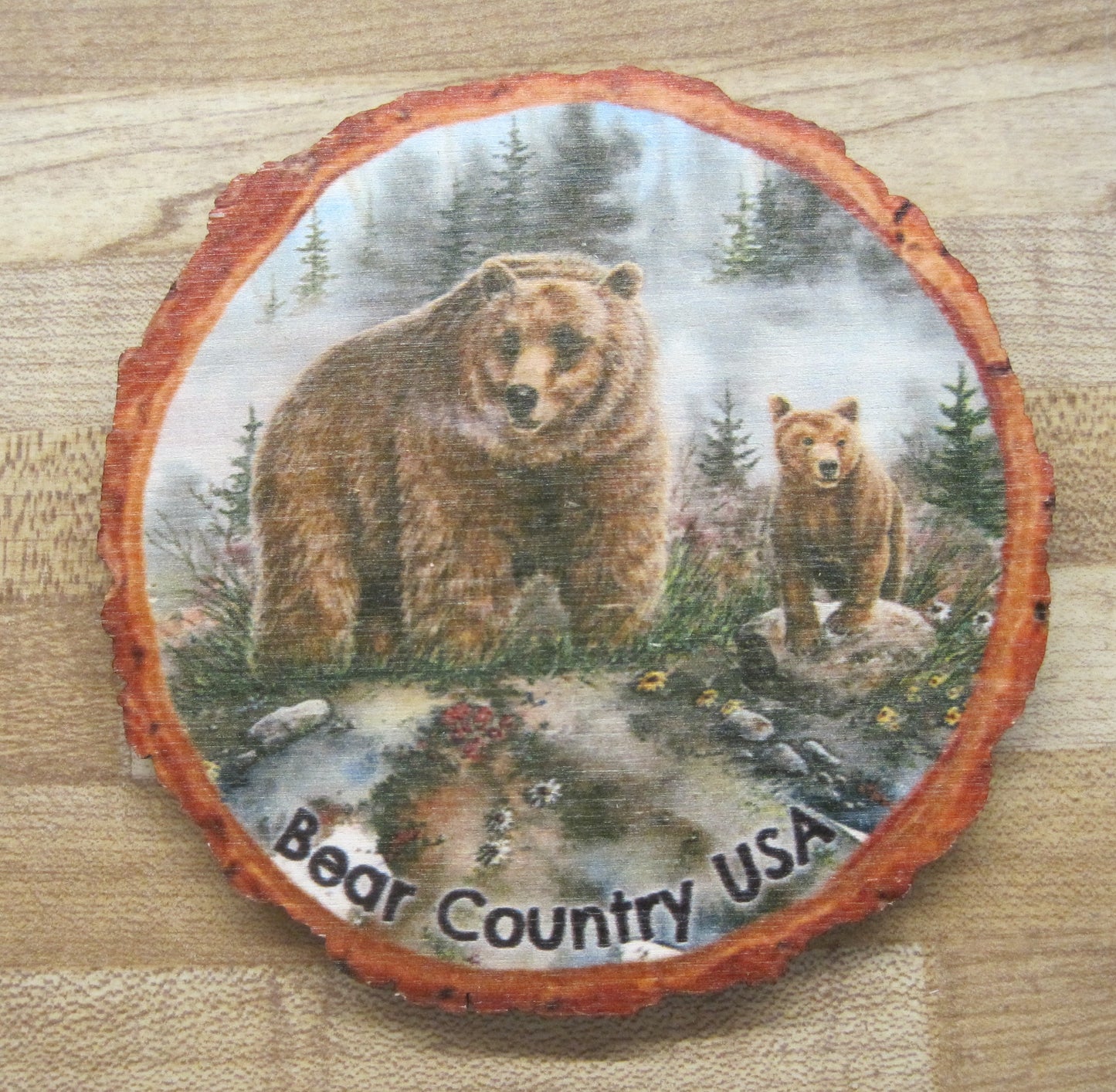 Coaster-Spring Break, Grizzly With Cub