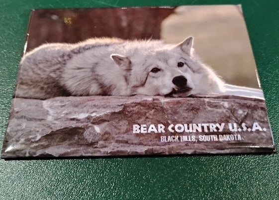 Magnet- Wolf Lay on Rock BC BHSD
