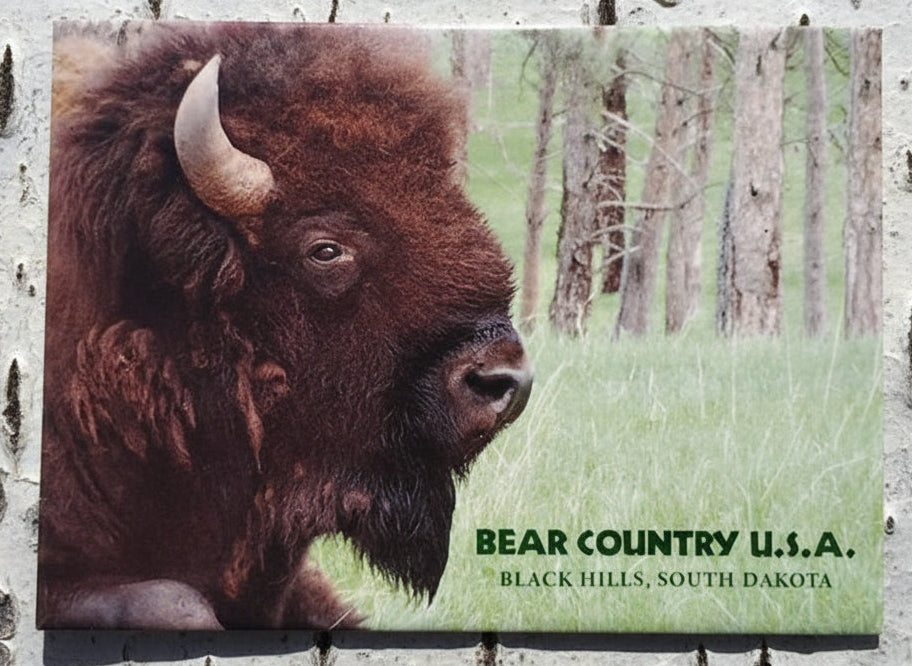 Magnt-Bull Buff Profile BCBHSD