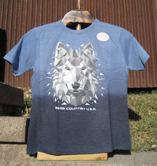 SALE- Tee, Youth, Ombre - Wolf Head, Low Poly