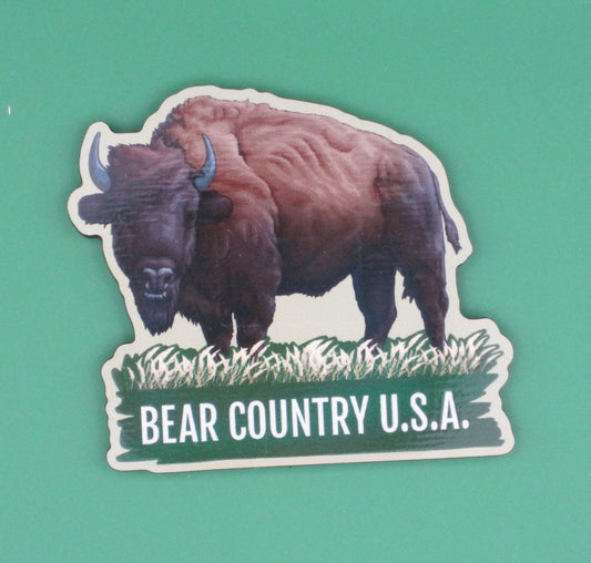 Magnet-Buffalo Grassy Field/BC