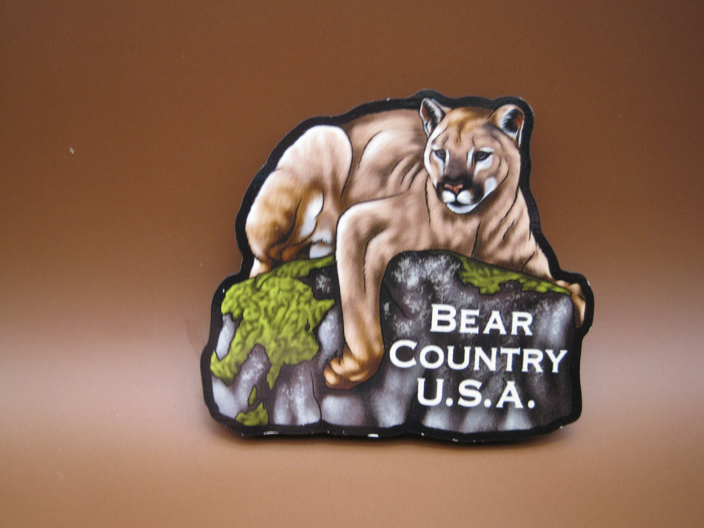 Magnet-Mt Lion on Rock/BCUSA