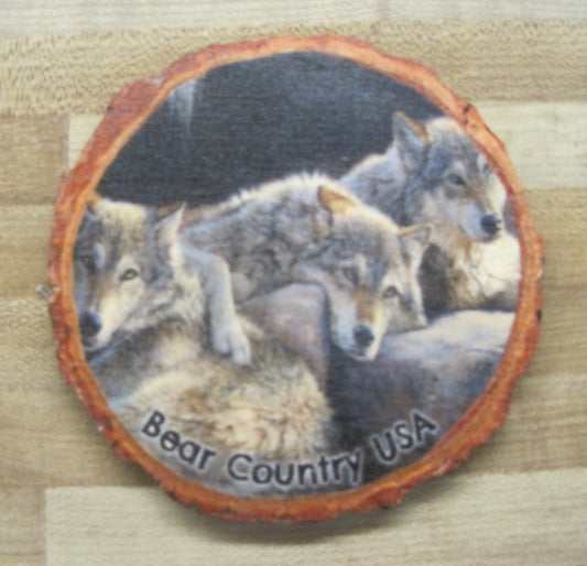 Coaster-Touch Of Dusk, Three Wolves Laying