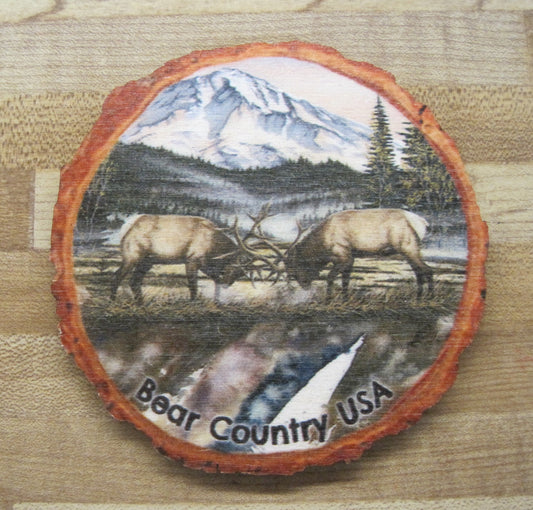 Coaster- Clash Of The Titan, Two Elk fighting