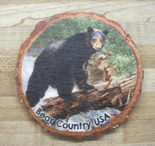 Coaster-The Causeway, Black Bear On Log