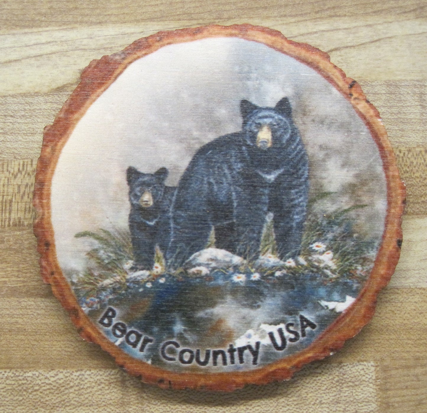 Coaster-Steppin 'Out, Black Bear With Cub