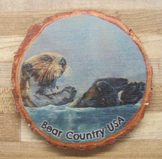 Coaster-Pools Never Closed, Otter In Water