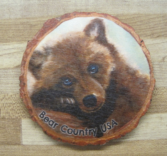 Coaster-Bear Cub, Brown Bear Laying