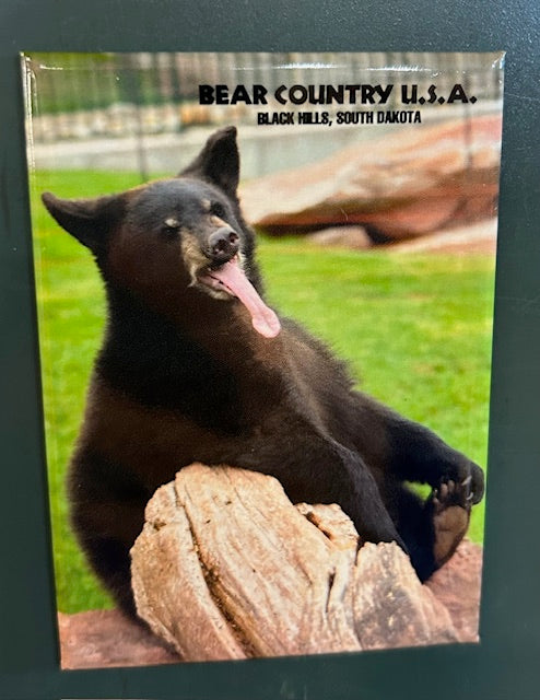 Magnet-Bear Sitn Tongue Out/BC