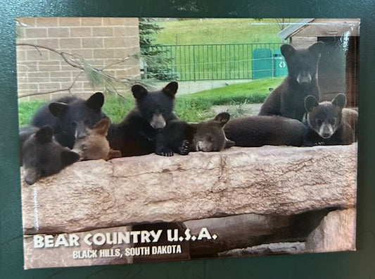 Magnet- 6 Cubs on Log BCBHSD