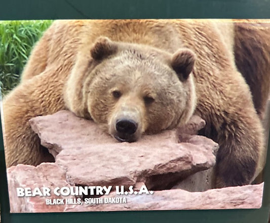Magnet- Tank Laying on Rock BCBHSD