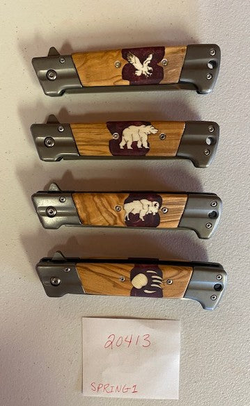 Knife-Large Spring Assist Folder W/Clip on