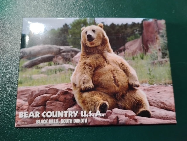 Magnet-Grizzly Tank Sitting Up BCBHSD